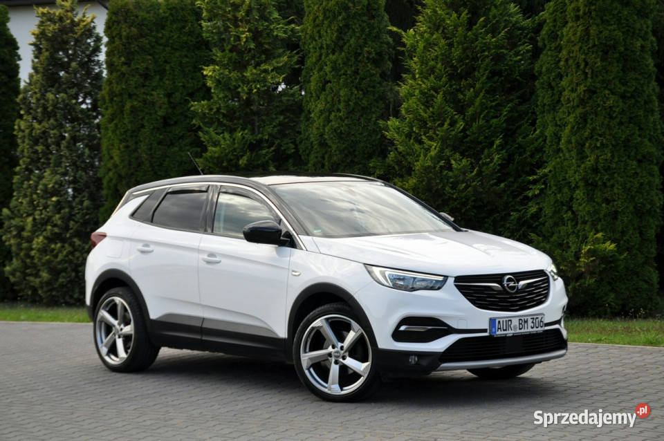 Opel Grandland X 20D177LedAutomatCar ASR (kontrola trakcji)