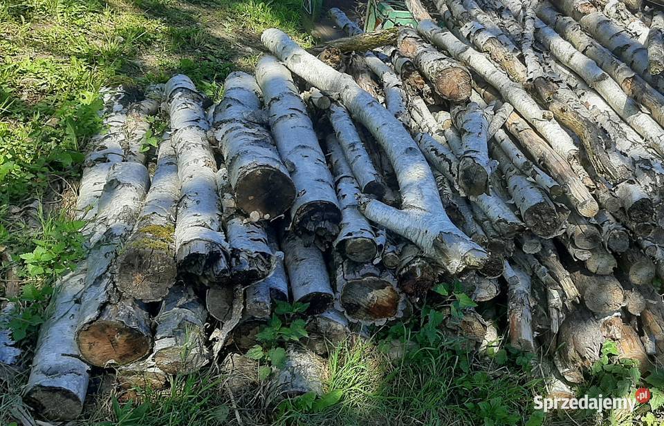 Drewno na opał wielkopolskie Ostrowite