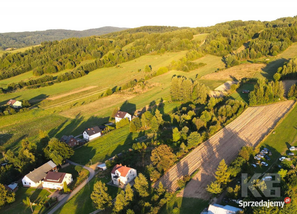 Działka Czaszyn 11684m2 Sprzedaż podkarpackie