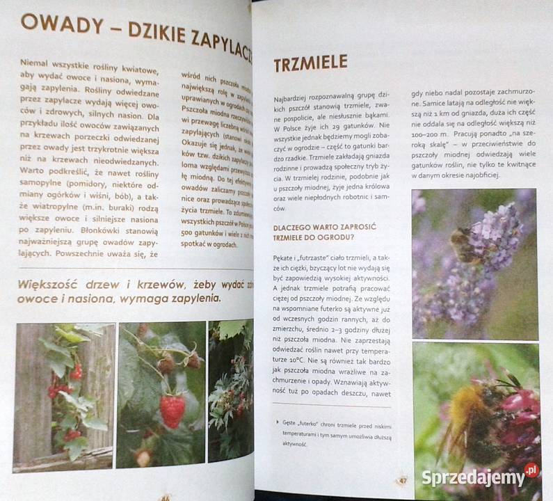 Ogród ostoja zwierząt J Niewolewska Sadownik K Chełm