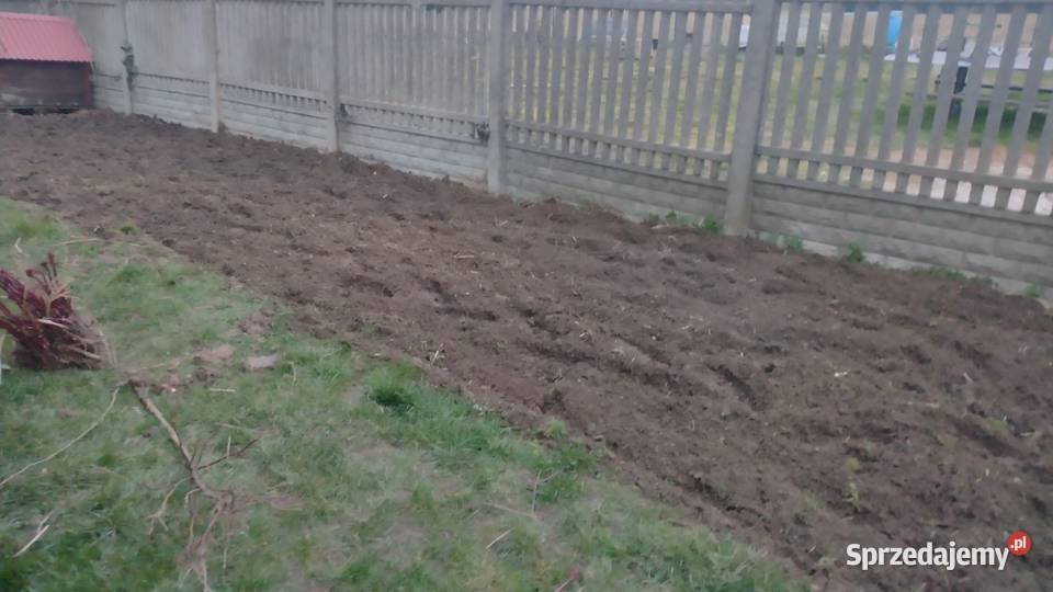 Usługi ogrodnicze glebogryzarka kosiarka łuparka Kielce