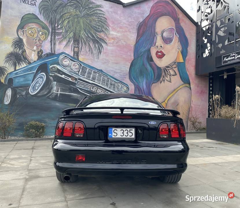 Ford Mustang SN95 manual Chomentów-Szczygieł sprzedam
