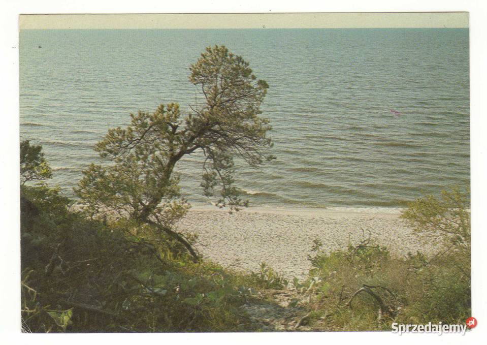 POBIEROWO BRZEG MORSKI Krynki