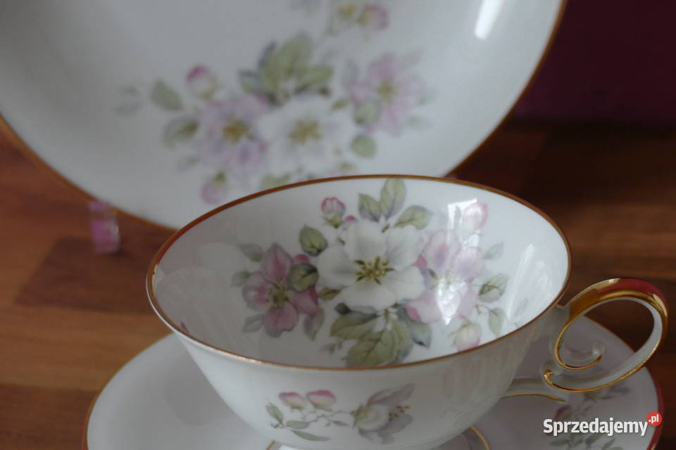 Trio porcelanowe Tirschenreuth Porcelana i szkło sprzedam