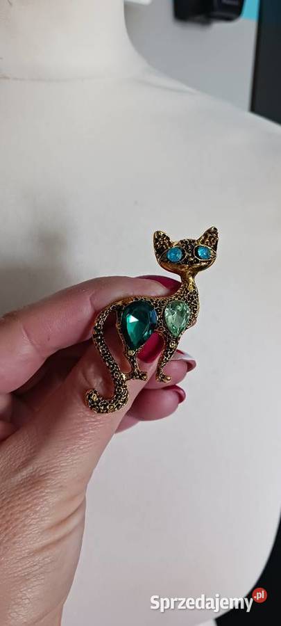 Broszka kot Ostrowąs