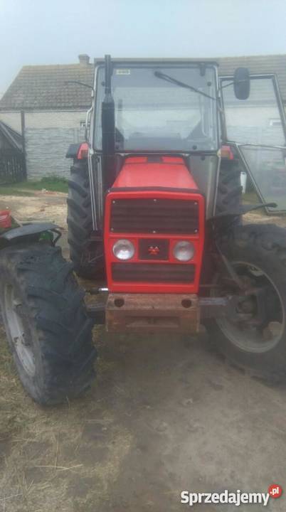 Massey Ferguson 393 z Niemiec Napęd 4x4 Ciągniki Kobylanki