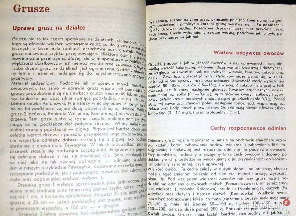 Owoce z mojej działki Tomasz Rejman Rok wydania 1987 Chełm
