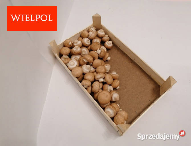 Sprzedaż skrzynek drewnianych do pieczarek wielkopolskie Wielichowo