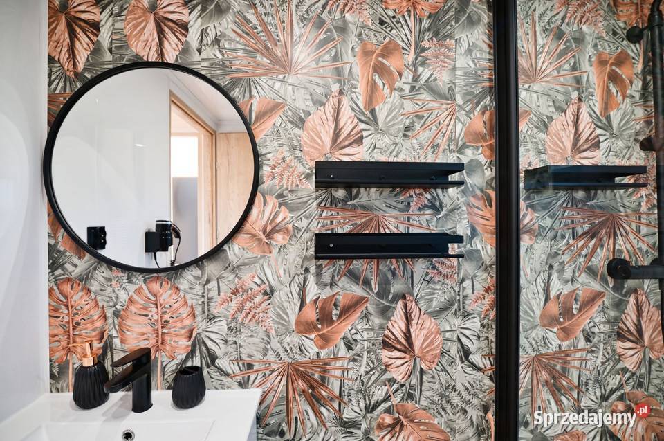 Domki na wynajem Zator