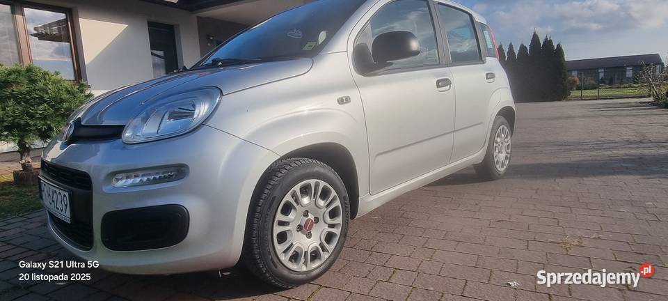 Fiat Panda III 12 pb salon Panda Tarnobrzeg