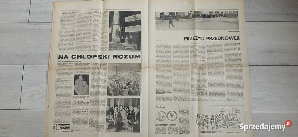 Pierwszy numer Tygodnika Solidarność z 1981 r Ząbkowice Śląskie