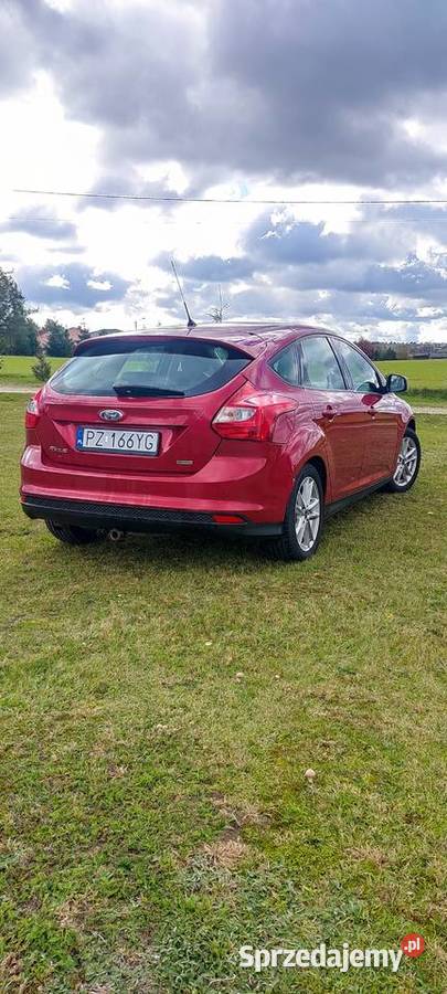 Ford Focus 2014r 10 ecoboost 125 koni 6 biegów Słupia pod Kępnem sprzedam
