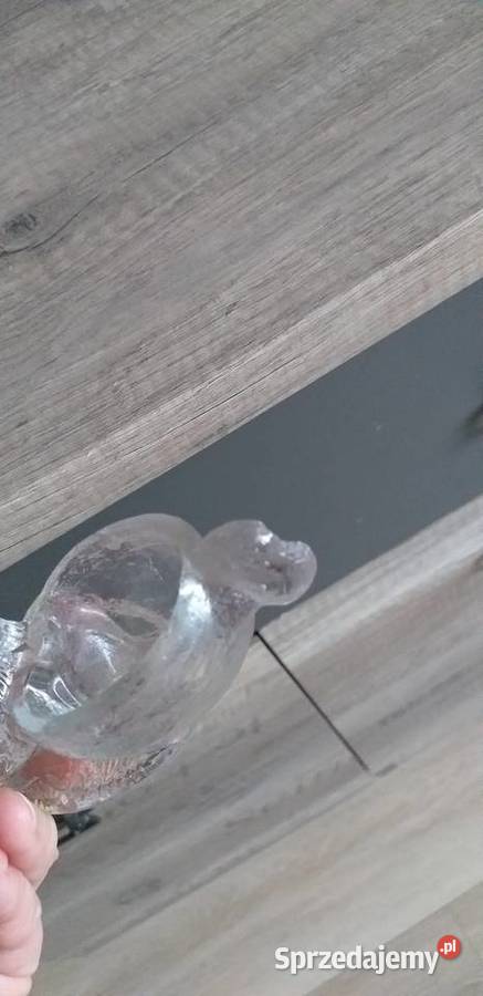 Przyprawnik koguciki prl