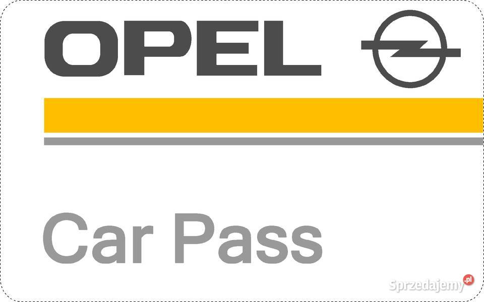 Diagnostyka komputerowa Opel Naprawa elektroniki naprawa