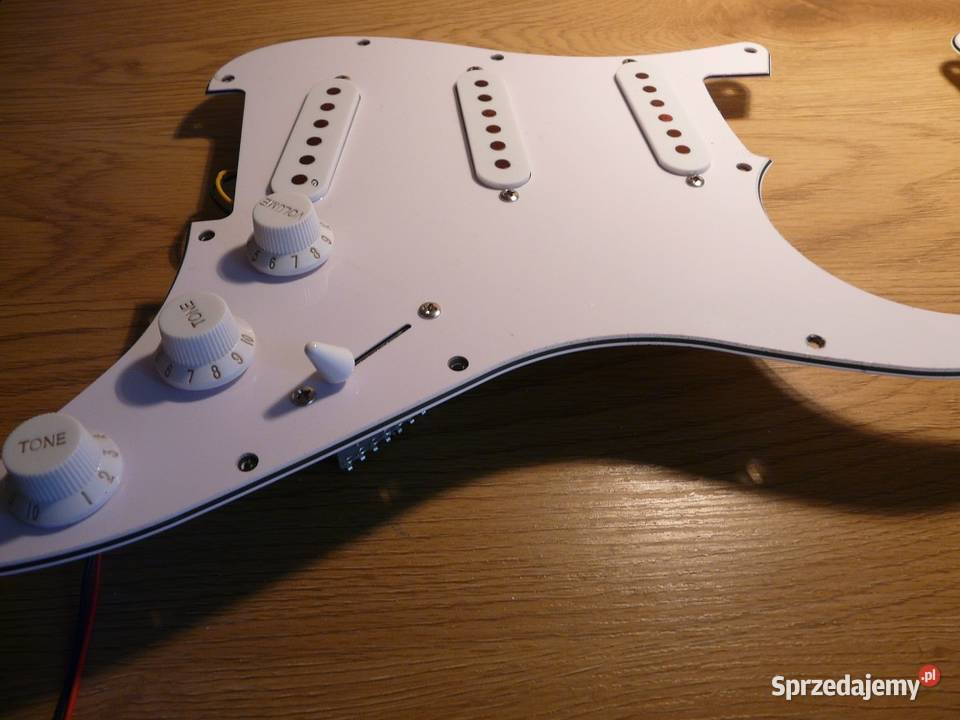 Stratocaster płytka Bierutów