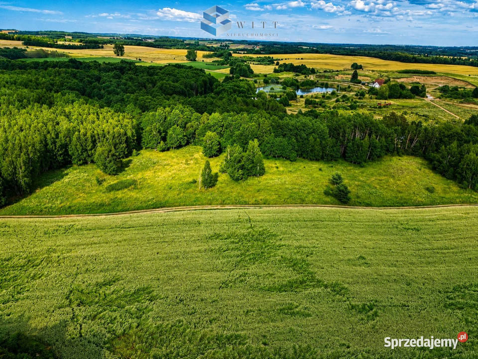 Grunt Marwałd 150700m2 Sprzedaż