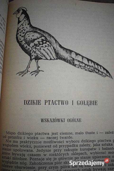Potrawy z drobiu i dzikiego ptactwa Chełmno sprzedam