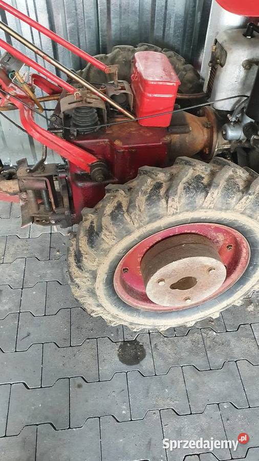 Sprzedam Dzika 21 Ursus 21 Magnuszewice