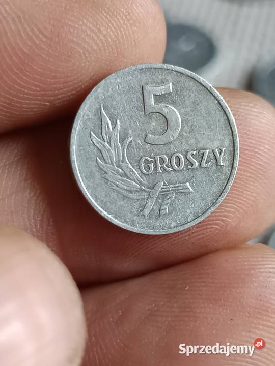 Sprzedam monete 5 groszy 1959 vbv Chełm