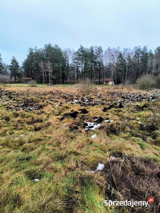 Działka rekreacyjna 3004 m2 w Karwiku 22zł/m2 Karwik