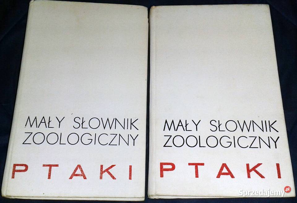 Ptaki Mały słownik zoologiczny Tom 12 Przemysław Rok wydania 1990 Chełm