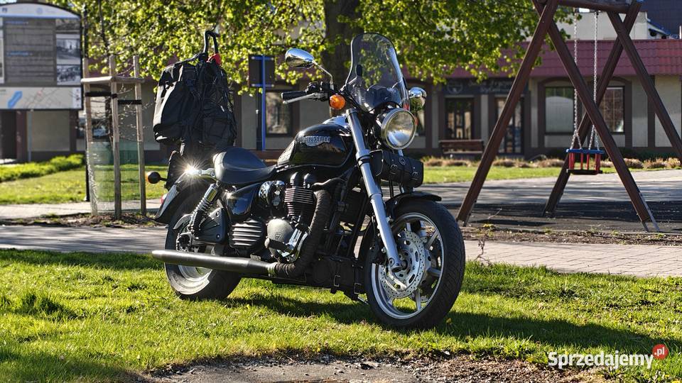 Triumph speedmaster Triumph wielkopolskie Trzemeszno sprzedam