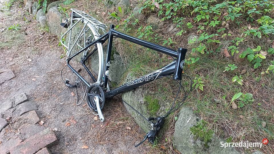 Rama Rowerowa Rower Męski Calvin CA605 Alu 7005 Wołów sprzedam