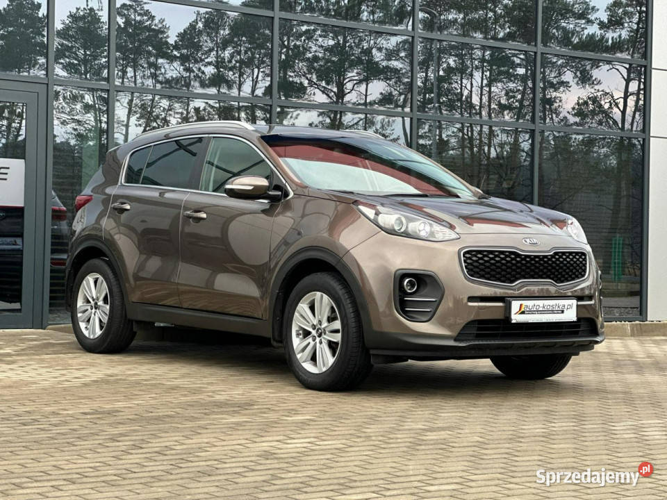 Kia Sportage 1Ręka 8xAlu Kamera Grzany nieuszkodzony Kąty Opolskie