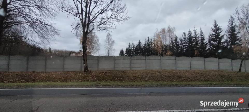 Wynajmę działkę rolną budowlaną ogrodzoną 3900 Nieruchomości Elżbiecin sprzedam