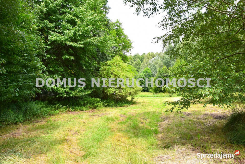 sprzedaży działki 7075m2 Zacywilki 62m Nieruchomości