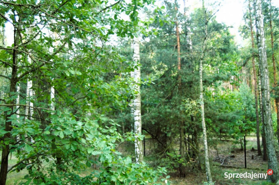 7810m2działka bud 4965m22845m2LAS Kania Góra