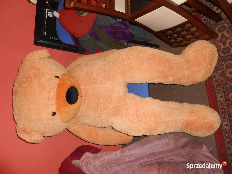 Pluszowy miś 170 łódzkie Łódź