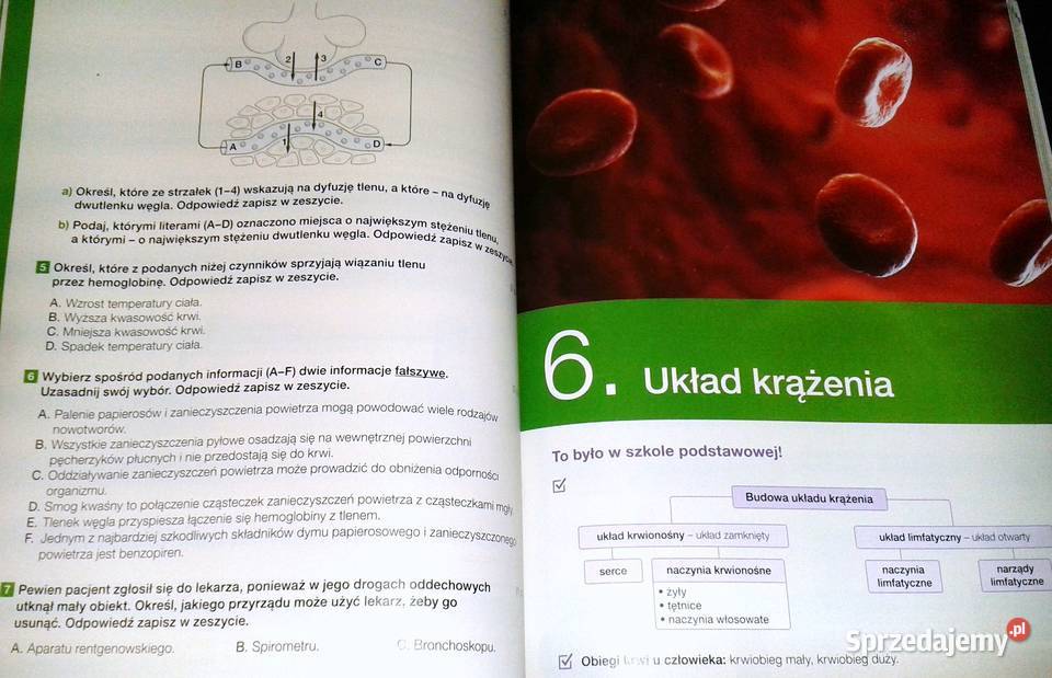 Biologia na czasie 1 Podręcznik LO i tech Anna miękka Chełm