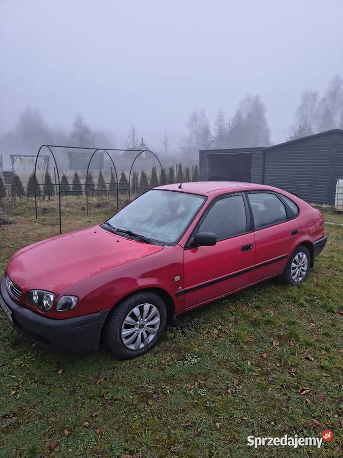 Toyota Corolla E11 Liftback Rapy Dylańskie