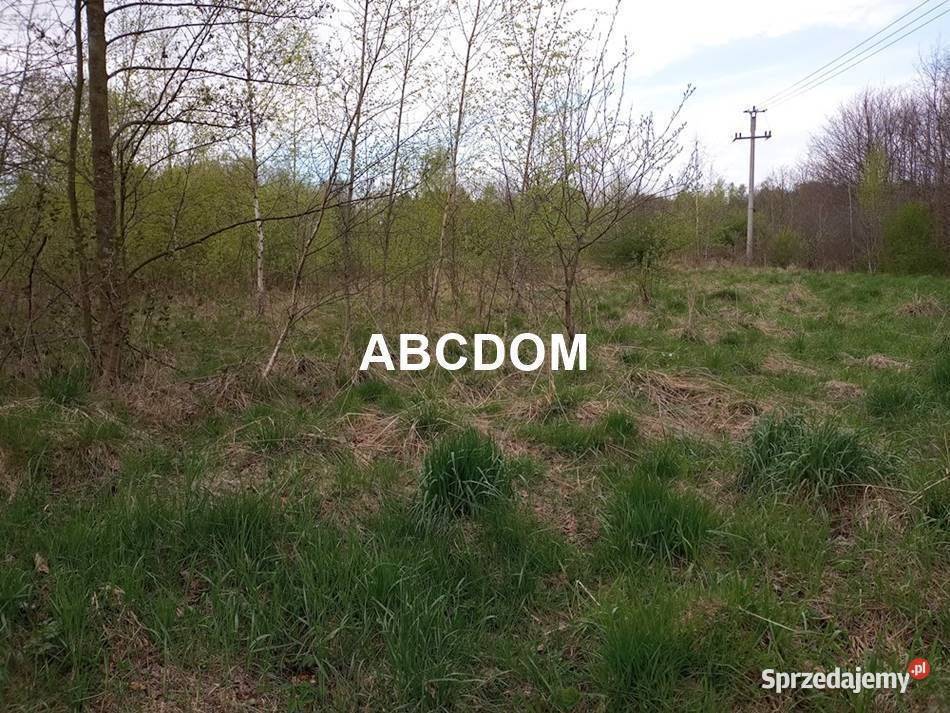 Raciborsko 39 ara łąki Tereny Z las Tereny ZL