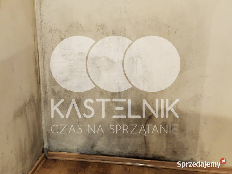 Odgrzybianie ścian Elbląg Kastelnik Usuwanie