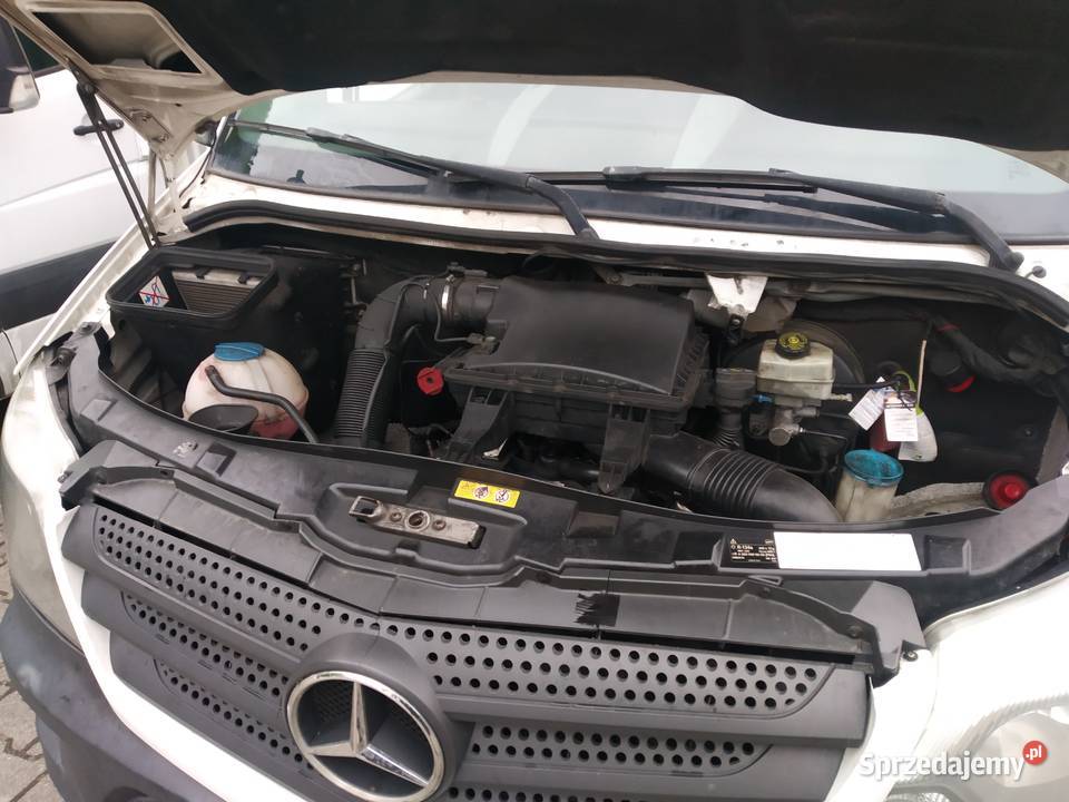 Mercedes Sprinter 316 MroźniaChłodnia sprzedam