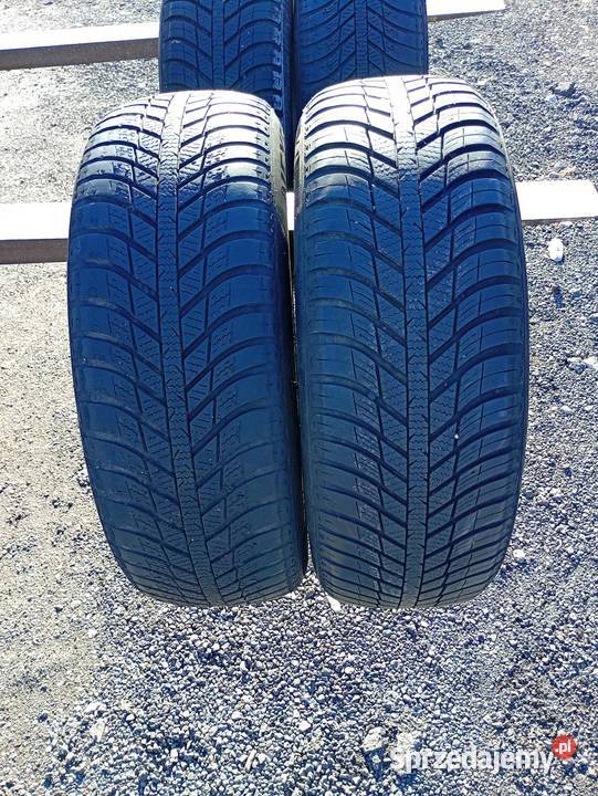 Opony zimowe 215 60 17 nexen