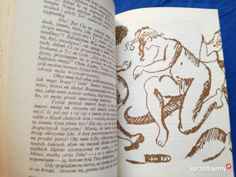 KsiążkaOwidiusz Heroidy czyli listy łódzkie