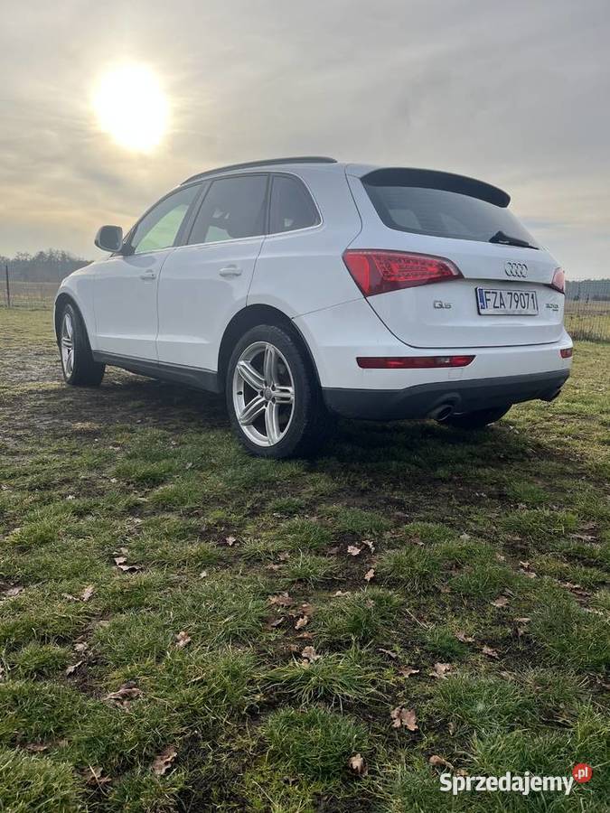 Audi Q5 30 quatro Żary