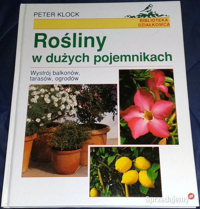 Rośliny w dużych pojemnikach Klock Peter