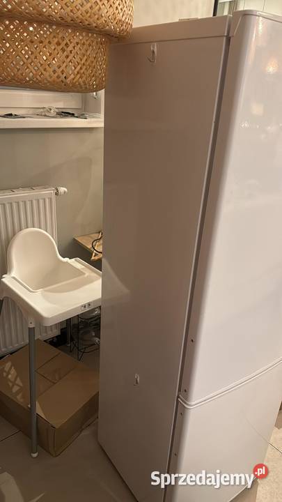 Lodówka Amica wolnostojaca wolnostojące Poznań sprzedam