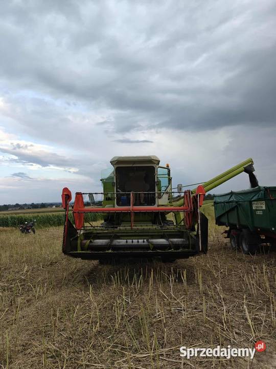 Claas Dominator 68 Zbożowe Nielisz
