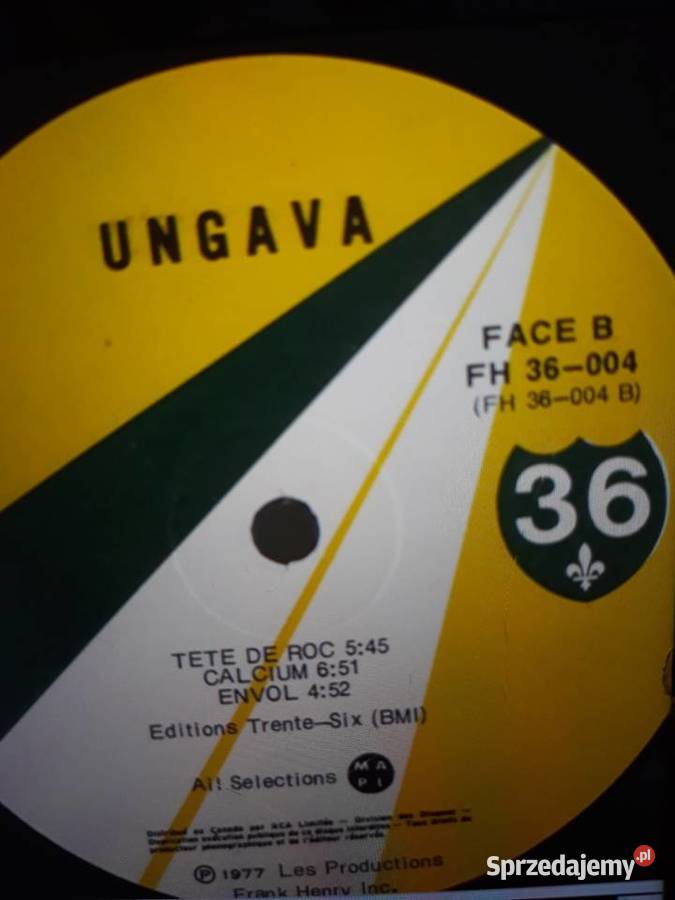 Archiwum jazz rocka UNGAVA Ungava 1977orginał podkarpackie Rzeszów