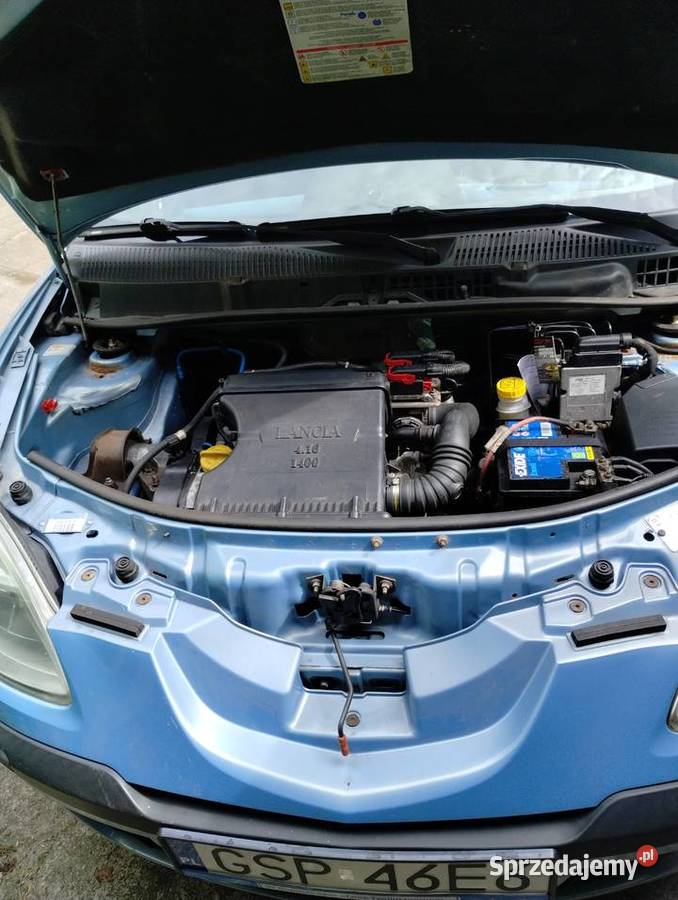 Lancia Ypsilon 14 95 benzyna sprzedam