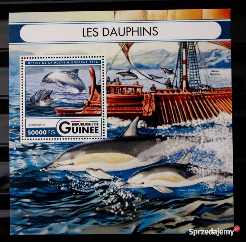 Gwinea delfiny 4 wielkopolskie Oborniki
