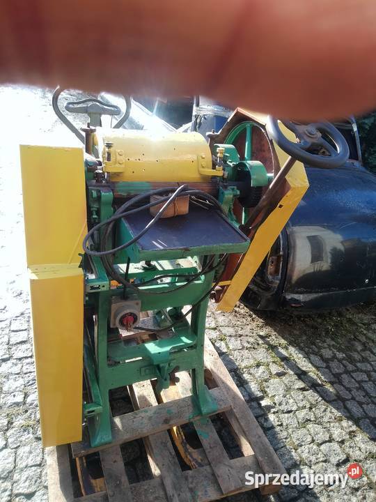 grubościówka heblarka Wykroty