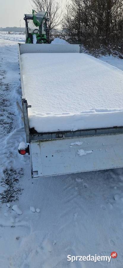 Westfalia ursinn przyczepa samochodowa Namysłów