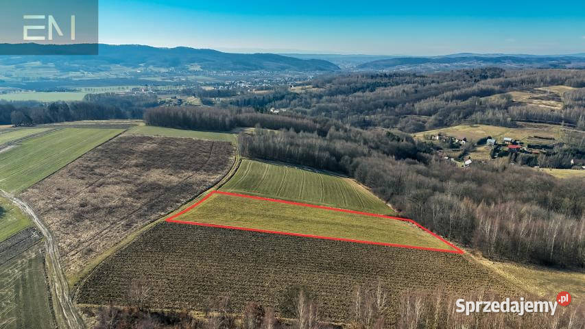 Działka Niewodna 5600m2 sprzedam