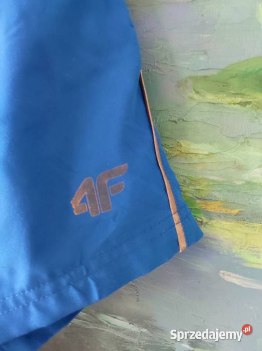 4F szorty spodenki męskie do biegania sportowe Rozmiar M Odzież sportowa Kielce